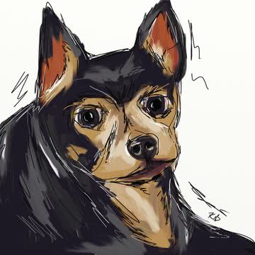 犬のイラスト