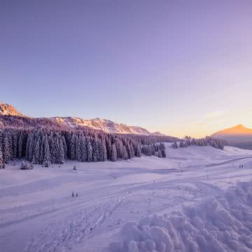 雪原