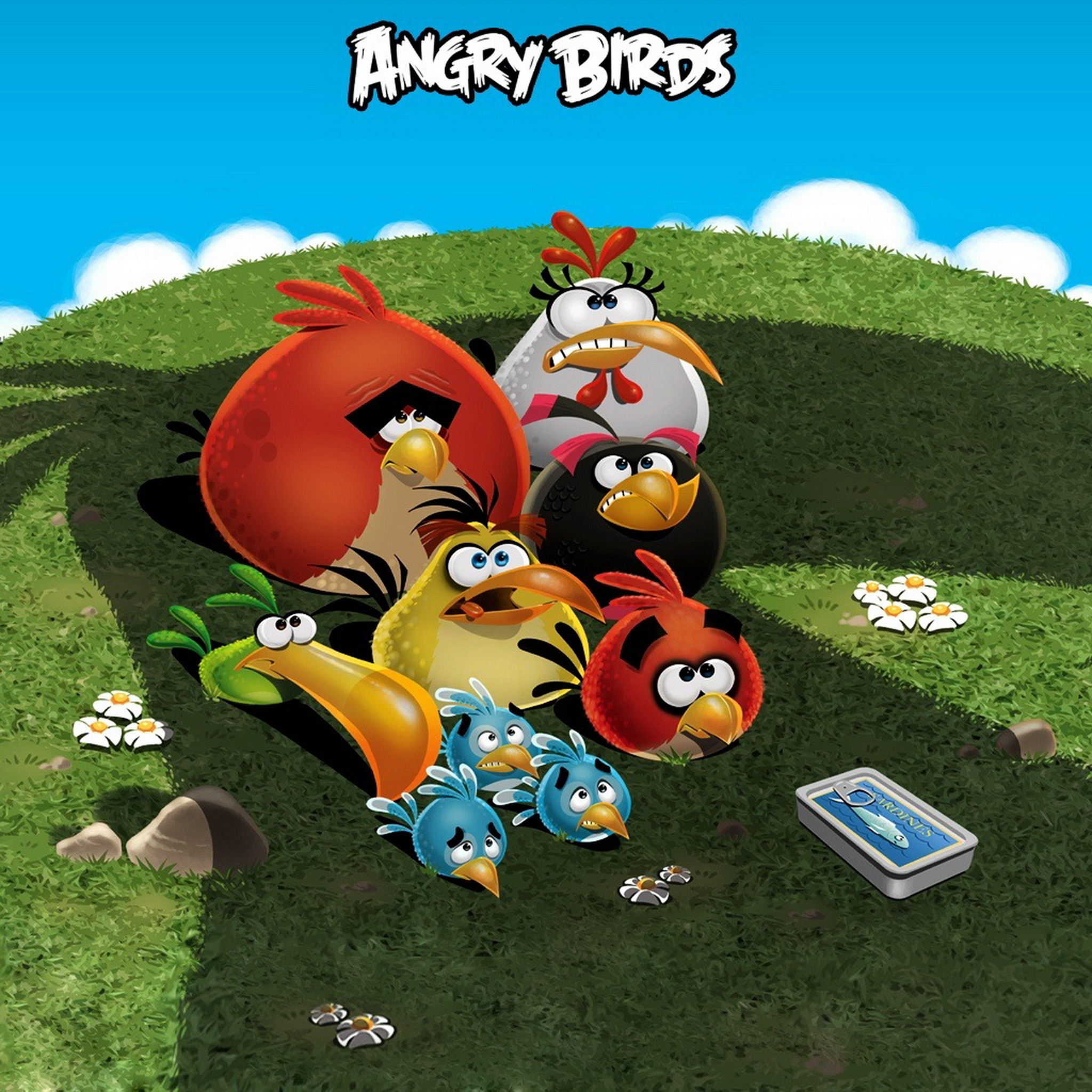 Angry Birds Ipad Wallpaper Ipad 3 Background Wallpapers