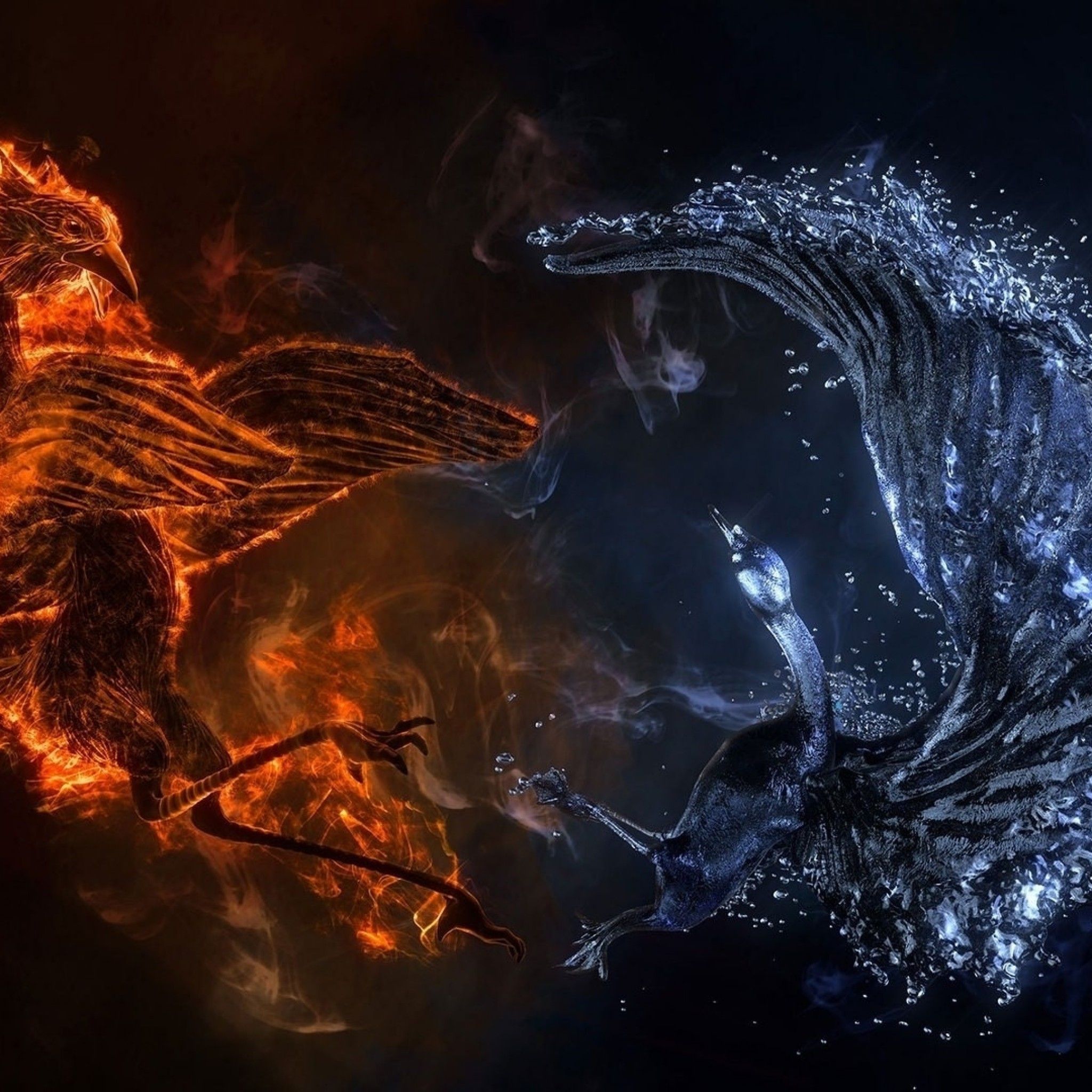 Огонь вода темно. Огненный дракон. Драконы огонь и лед. Огонь и вода драконы. Огонь.