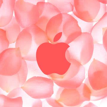 Apple - ピンク