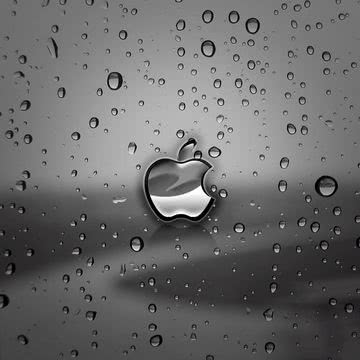 【207位】Apple - 雨