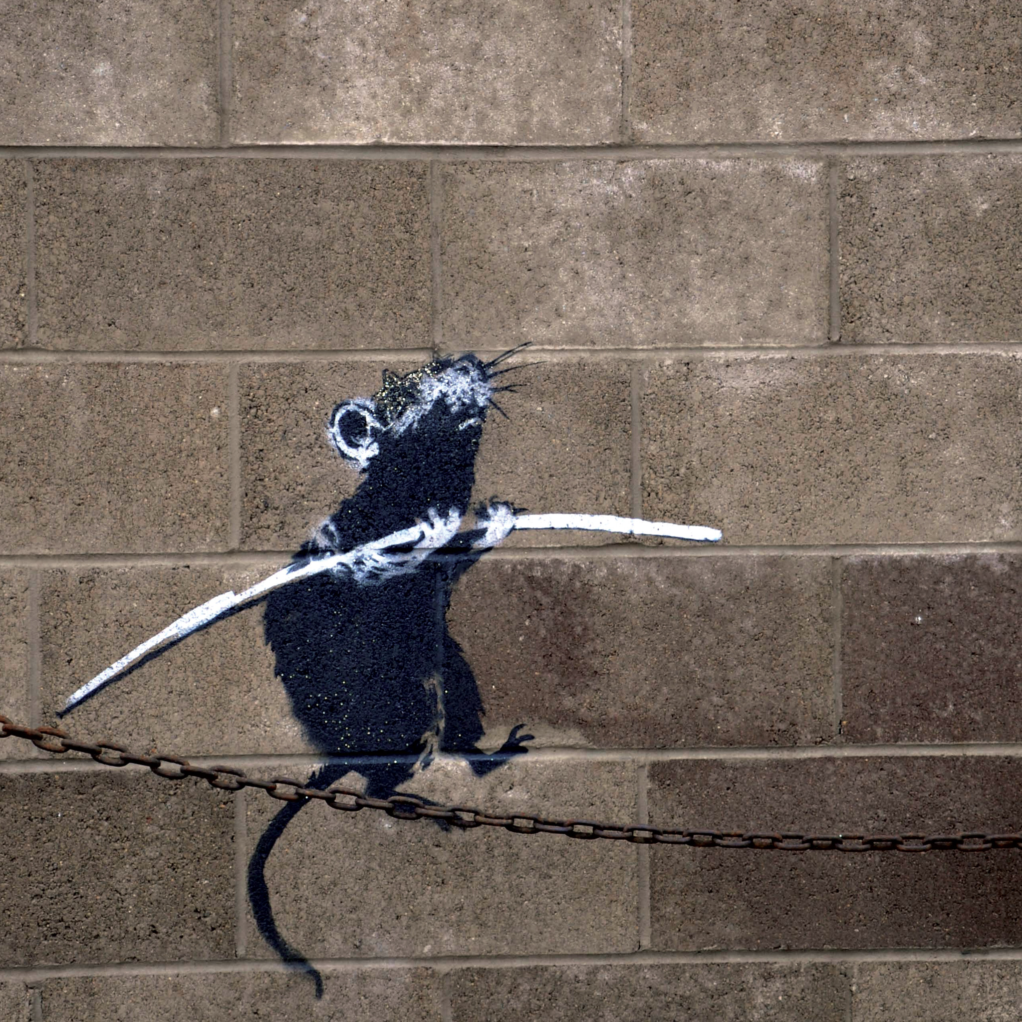 ネズミの綱渡り Ipad タブレット壁紙ギャラリー