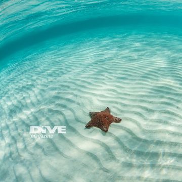 透き通った海