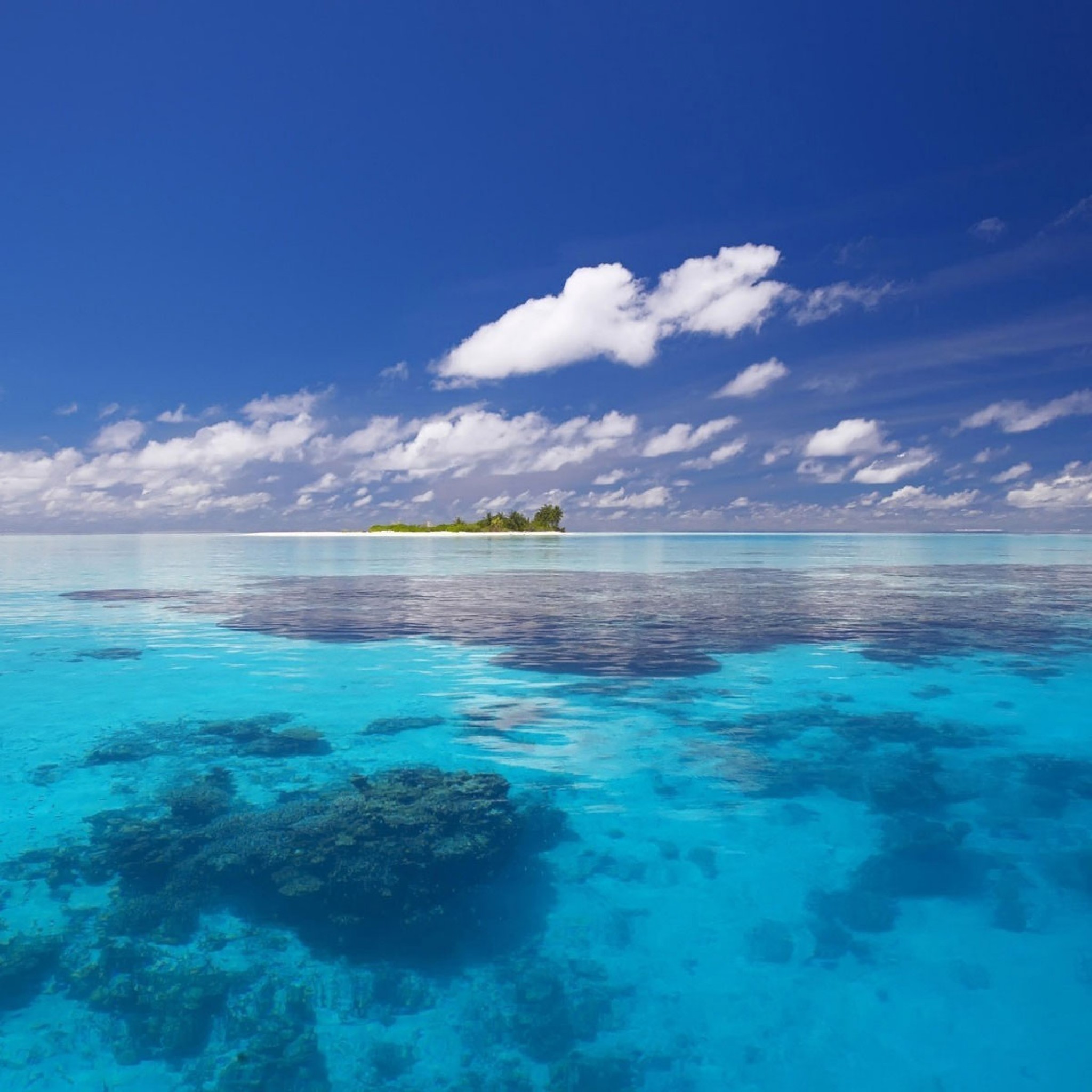 Песни остров в океане. Индийский океан Мальдивы. Острова и море. Красивое голубое море. Карибское море.