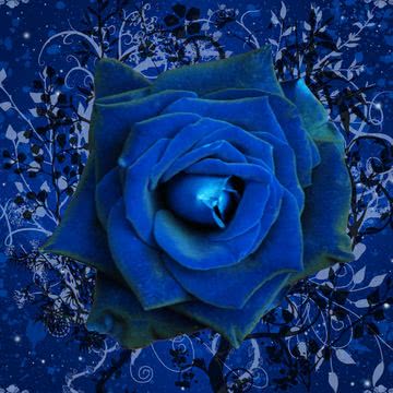 iPhone壁紙Blue,Rose,Wallpape…