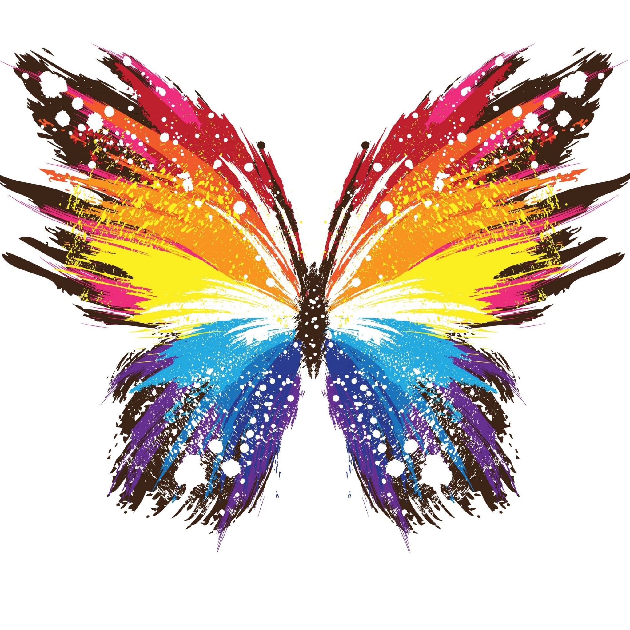 カラフルな蝶のイラスト タブレット壁紙 Ipad タブレット壁紙ギャラリー