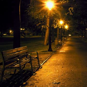 夜の公園の静かなベンチ