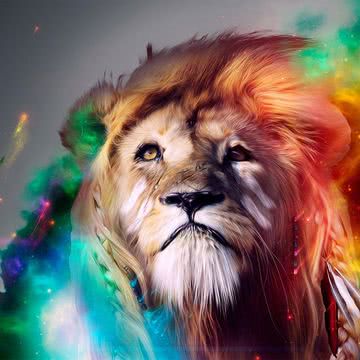 凛々しいライオン 動物のipad壁紙 Ipad タブレット壁紙ギャラリー