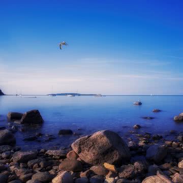 かもめの飛ぶ海