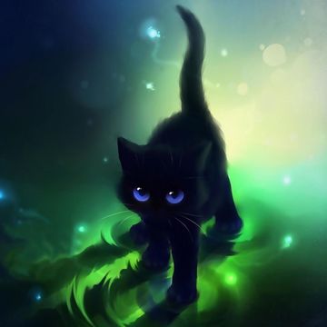 黒猫