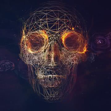 Digital Skull