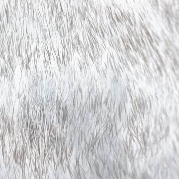 Fur