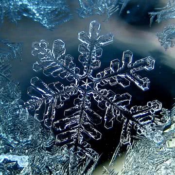 雪の結晶