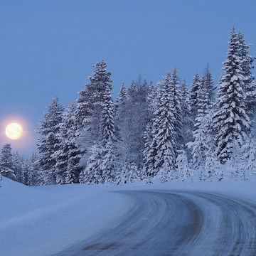 雪の夜のワインディングロード