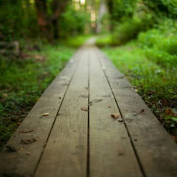 遊歩道