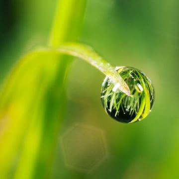 水の雫