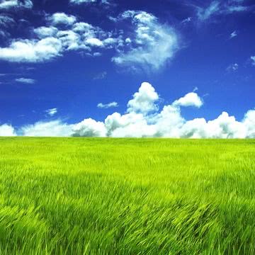 iPhone壁紙  Green Grassland …