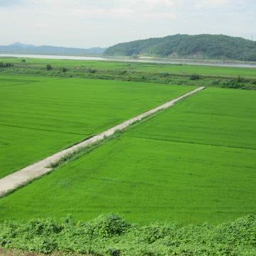 のどかな風景