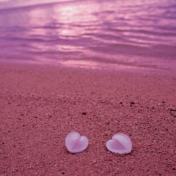 ハートの貝殻とセピア色の砂浜