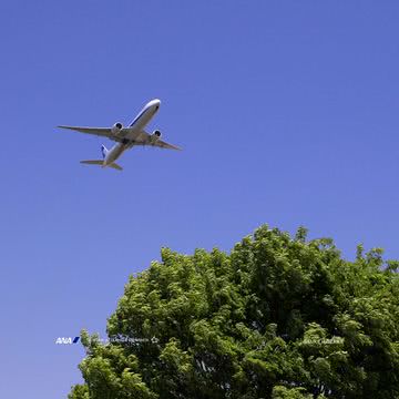 飛行機