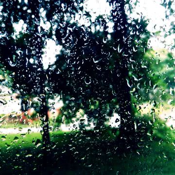 ガラス越しの雨