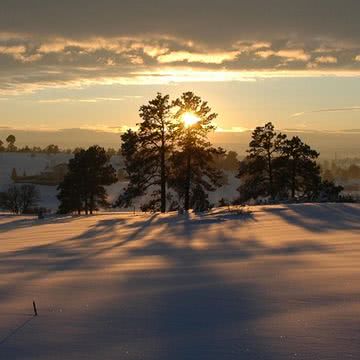 雪原の夕暮れ