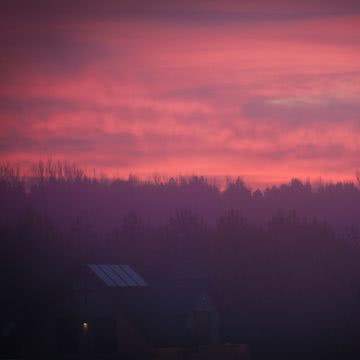 夕暮れの森