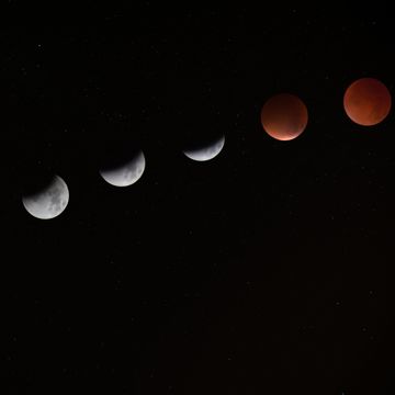 Blood Moon