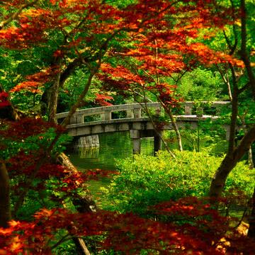 京都の日本庭園|橋のiPhone壁紙