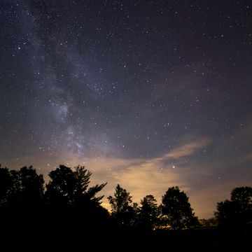 森の星空