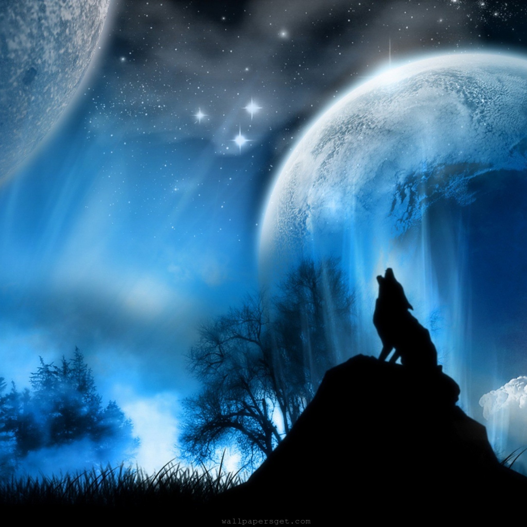 月夜のオオカミ Ipad タブレット壁紙ギャラリー