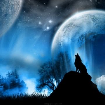 月夜のオオカミ