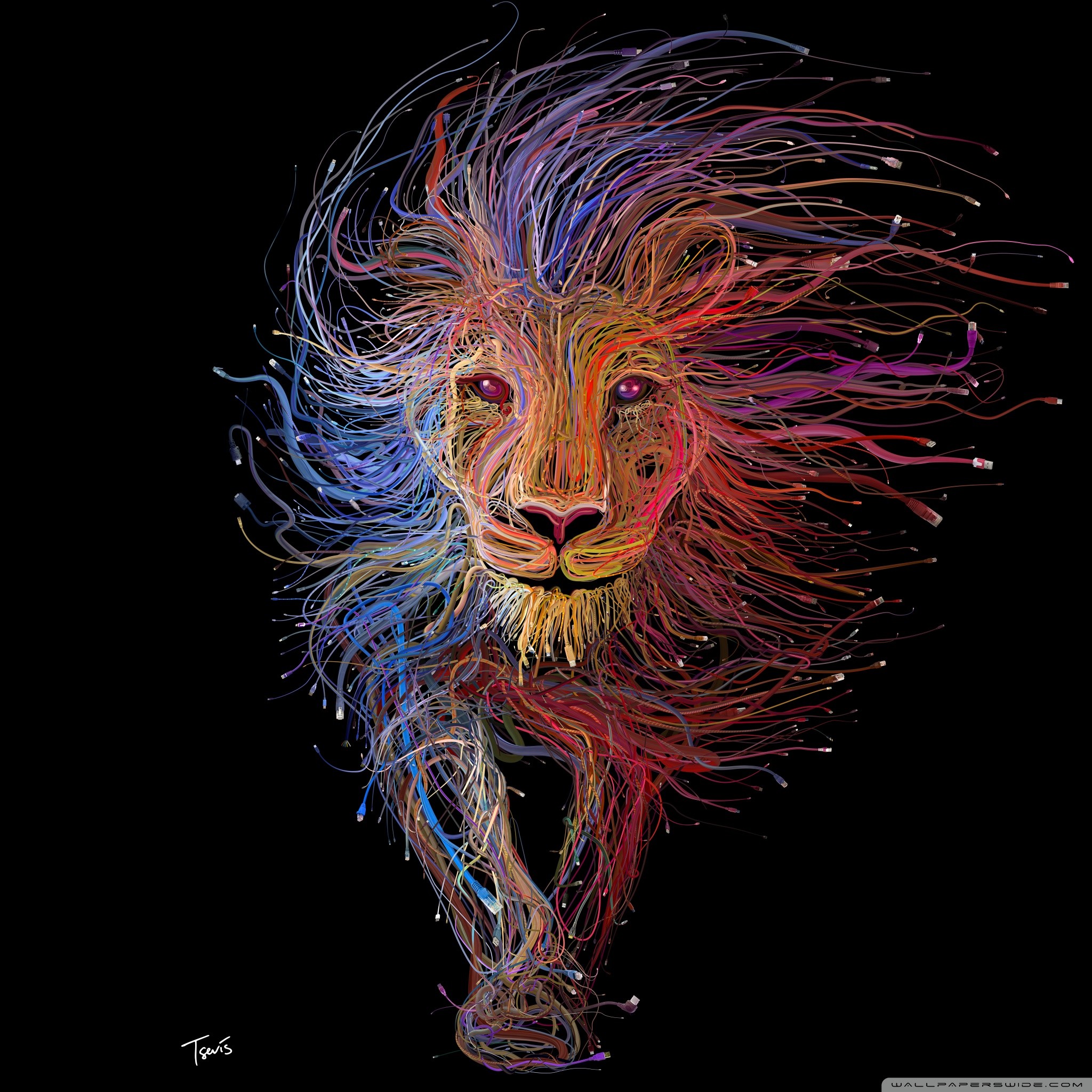 ライオン Ipad タブレット壁紙ギャラリー