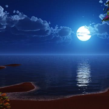 【新着1位】月夜の海