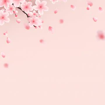 ミニマル桜