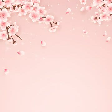 ミニマル桜