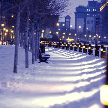 【世界の風景】雪のモントリオール