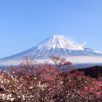 富士山のiPad壁紙