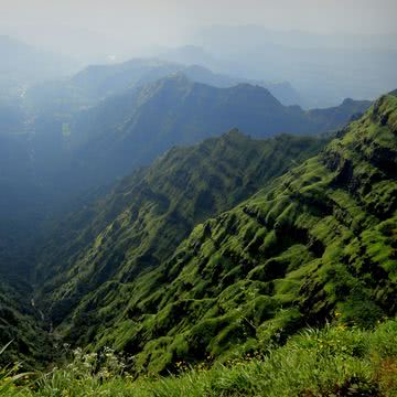 深緑の山