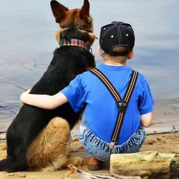 少年と犬