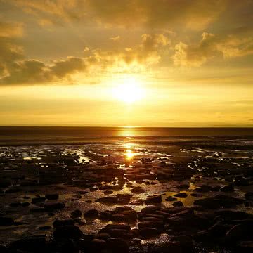 金色に輝く夕暮れの海