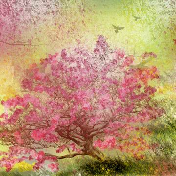 春の桜の木
