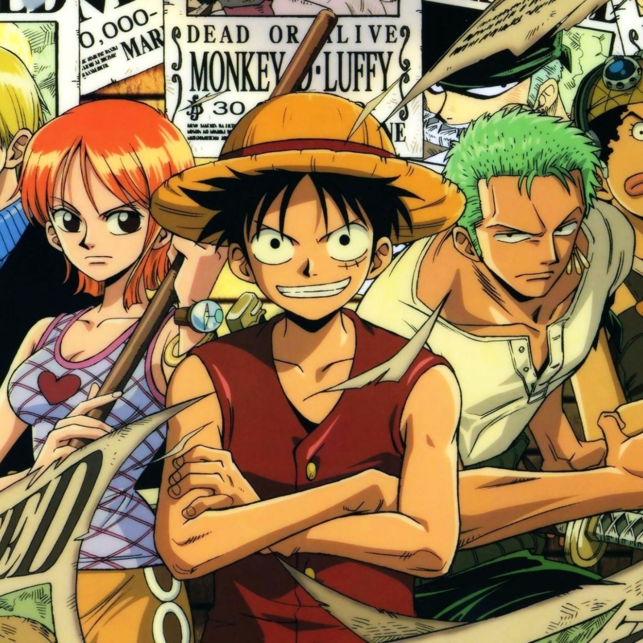 One piece indo. Ван Пис вся команда Луффи. Команда Луффи в Ван Пис. МУГИВАРЫ Луффи. Ван Пис арты команды Луффи.