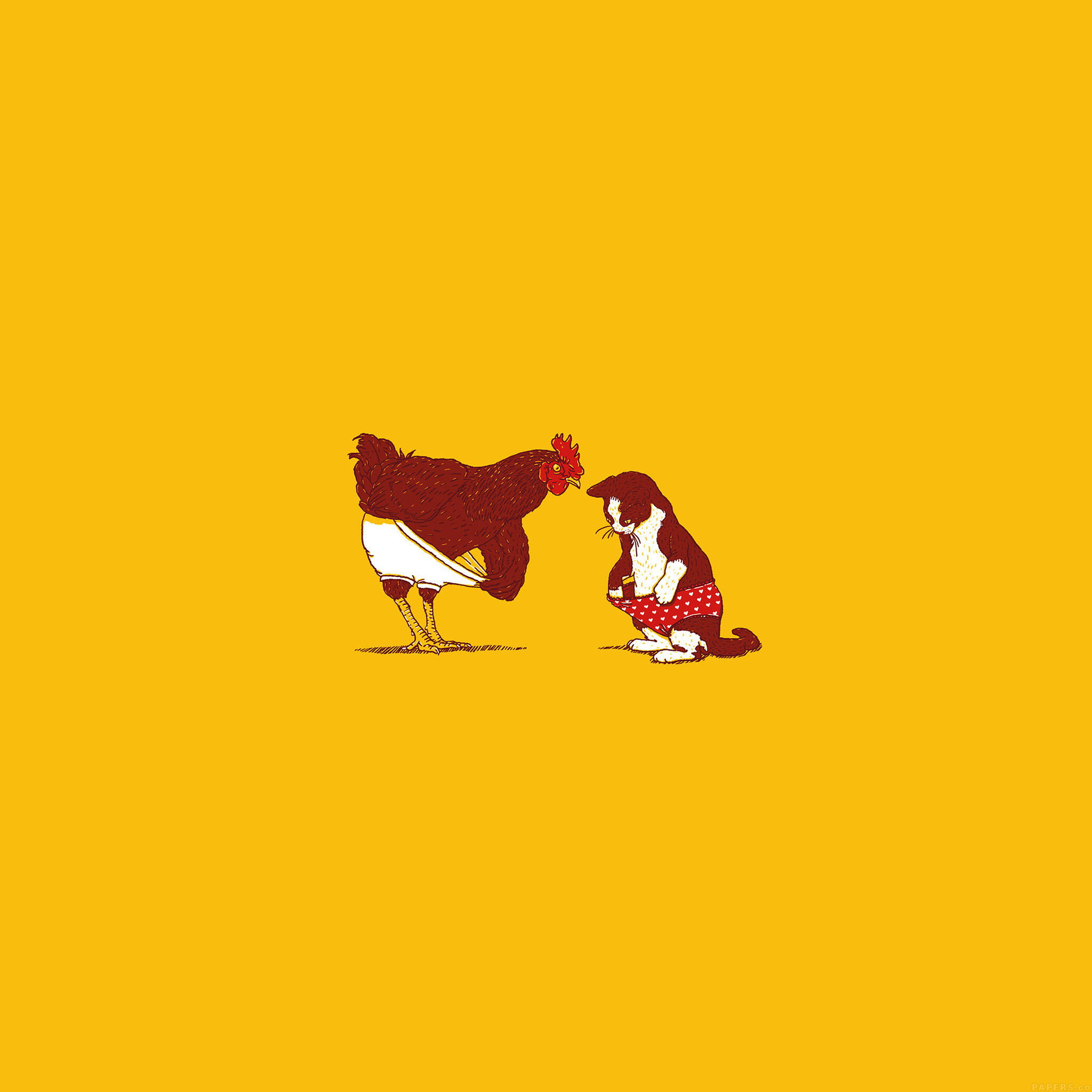 鶏と猫 Ipad タブレット壁紙ギャラリー
