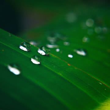 水の雫