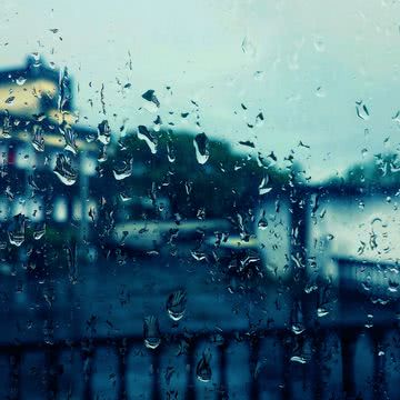 雨の風景