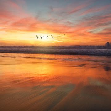 夕暮れの海