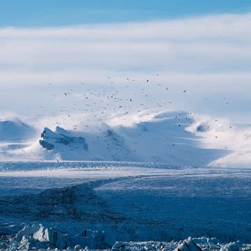 雪原