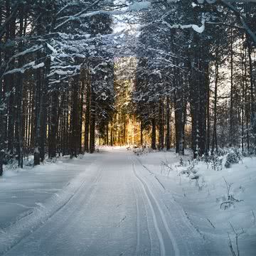 雪道